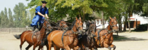 Read more about the article Château de Sissi + Ferme Equestre